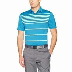 TJ Maxx Under Armour Coolswitch Brassie Stripe Golf Polo